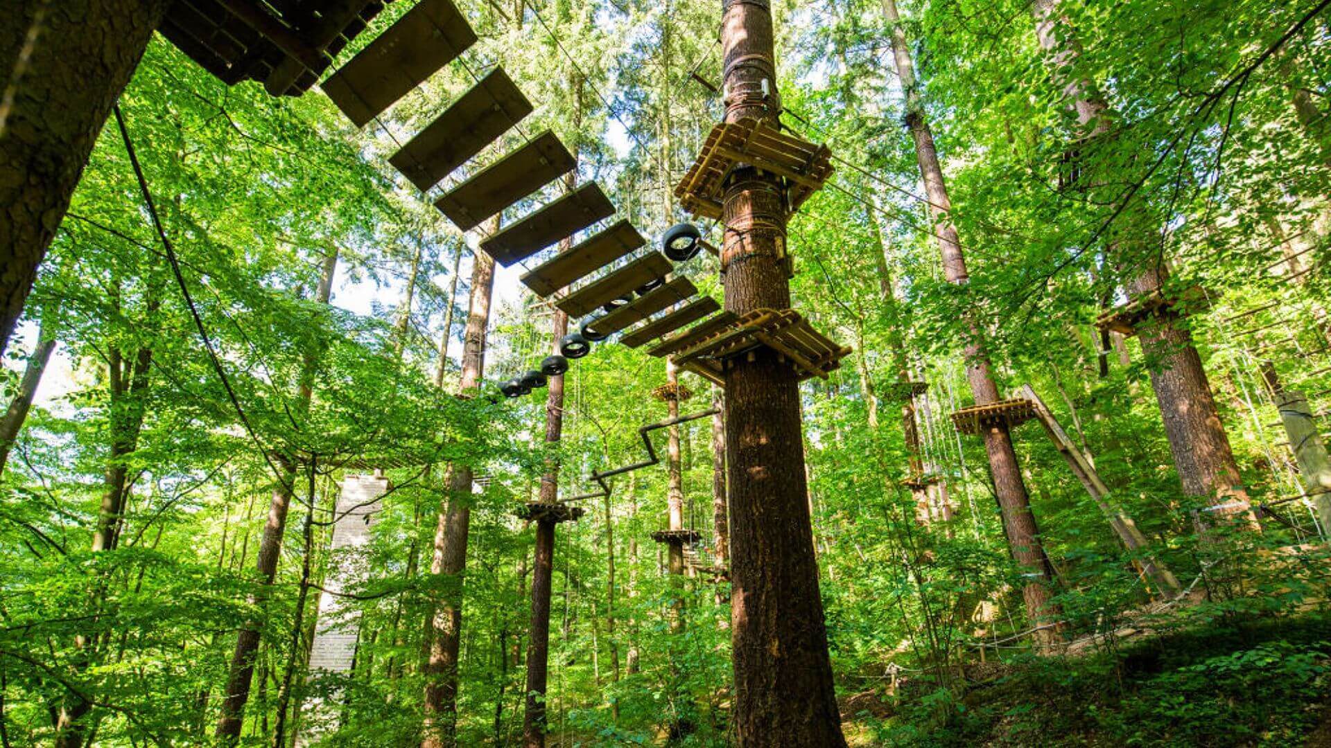 erleben kletterwald naturerlebnis hundefreundliches hotel