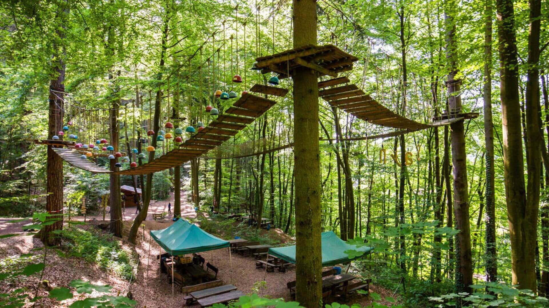 kletterwald sayn ausflugsziel rhein kurzurlaub